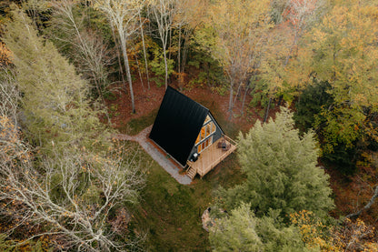 BirchRidge A-Frame:Catskills Retreat-Sauna-FirePit - Luxe Living STR Properties