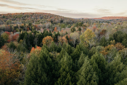 BirchRidge A-Frame:Catskills Retreat-Sauna-FirePit - Luxe Living STR Properties