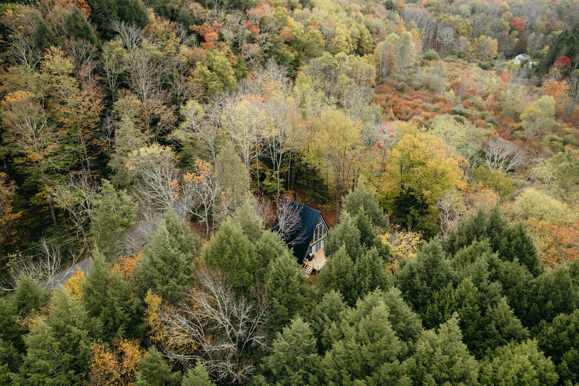 BirchRidge A-Frame:Catskills Retreat-Sauna-FirePit - Luxe Living STR Properties