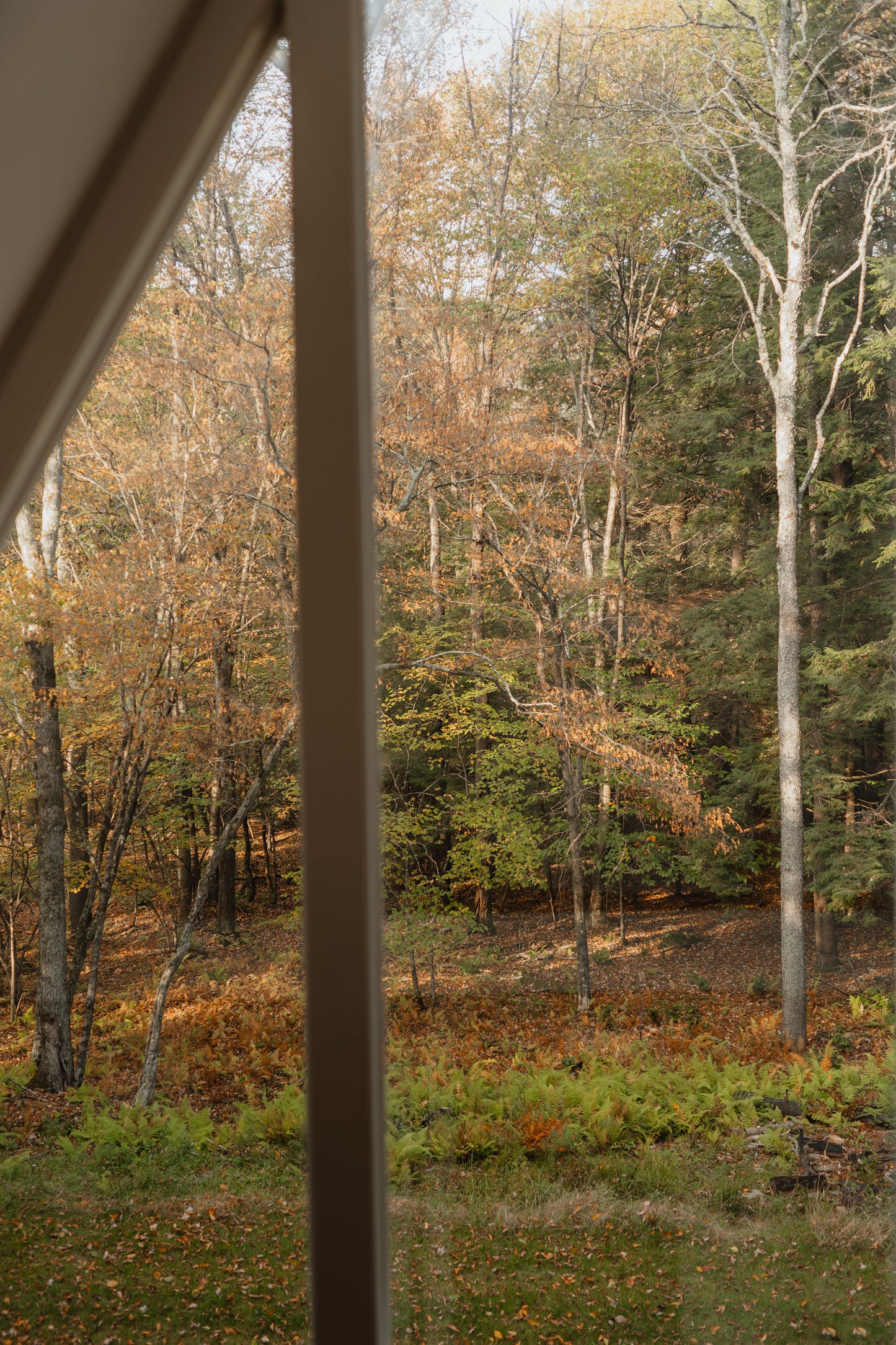 BirchRidge A-Frame:Catskills Retreat-Sauna-FirePit - Luxe Living STR Properties