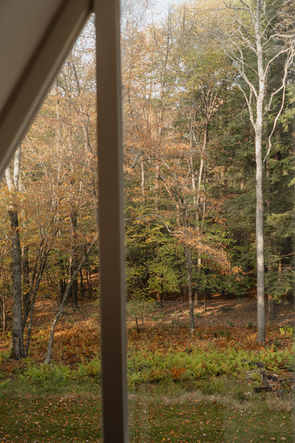 BirchRidge A-Frame:Catskills Retreat-Sauna-FirePit - Luxe Living STR Properties